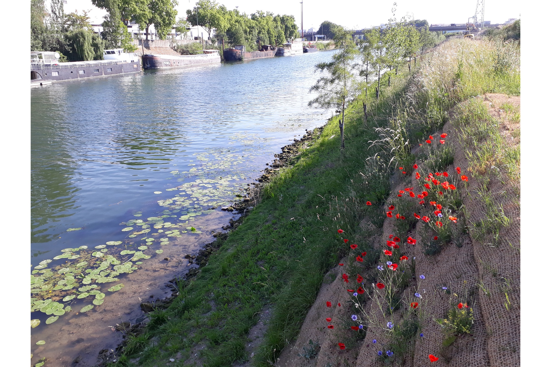 ÉCOQUARTIER FLUVIAL